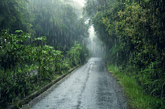 Lush green landscape of Maharashtra during monsoon season with heavy rainfall.