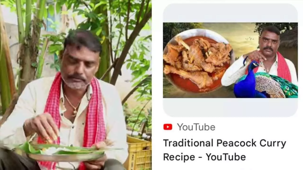 Peacock Curry Controversy