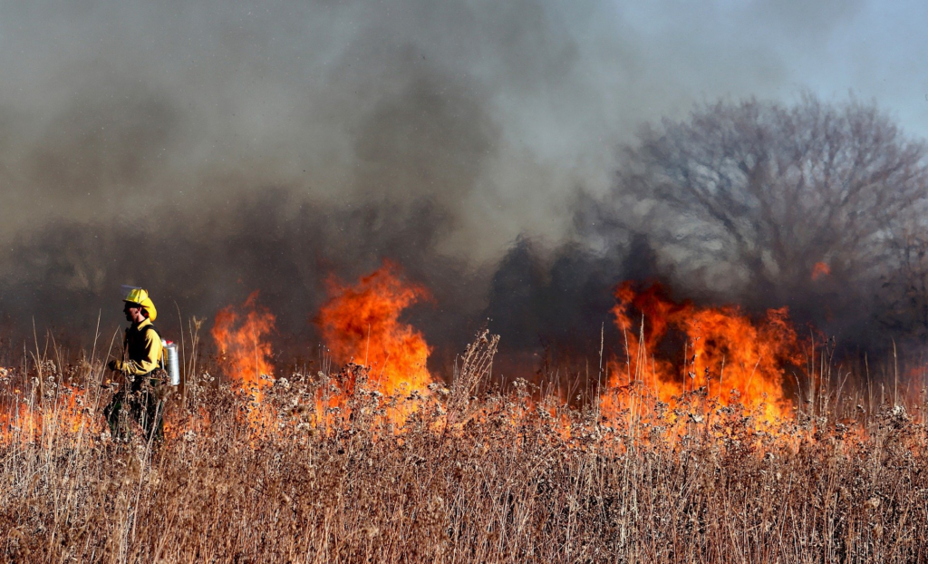 Wildfires in Russia 2023