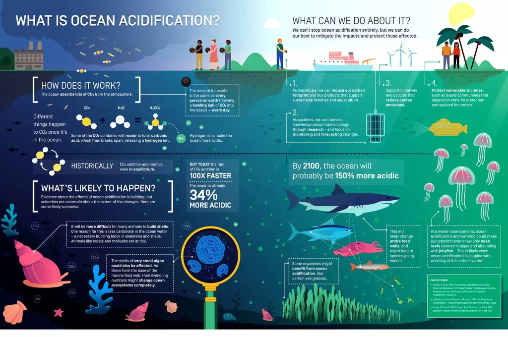 Japan Ocean Acidification Effects