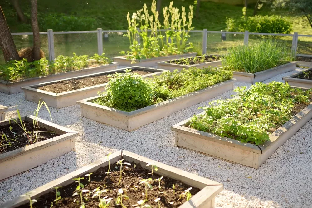 Community Garden in Germany