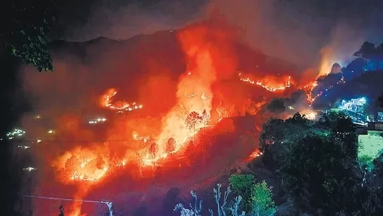 Uttarakhand forest fire data 2024