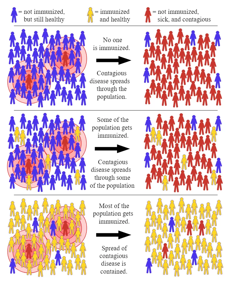 Herd Immunity and Vaccination