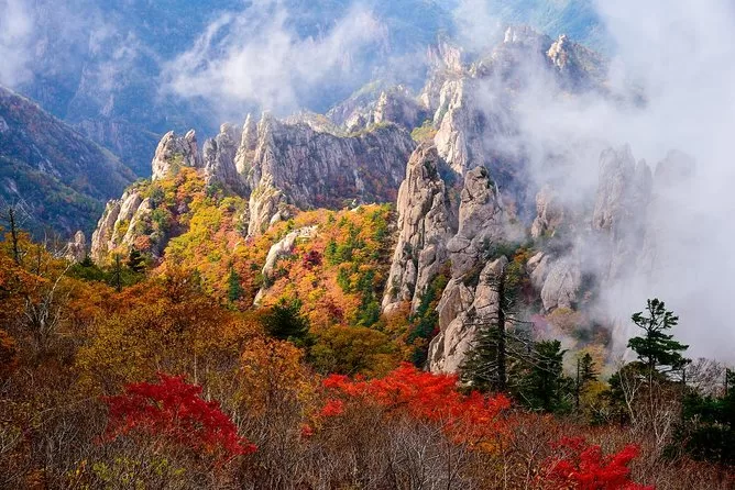 Hiking Essentials in South Korea