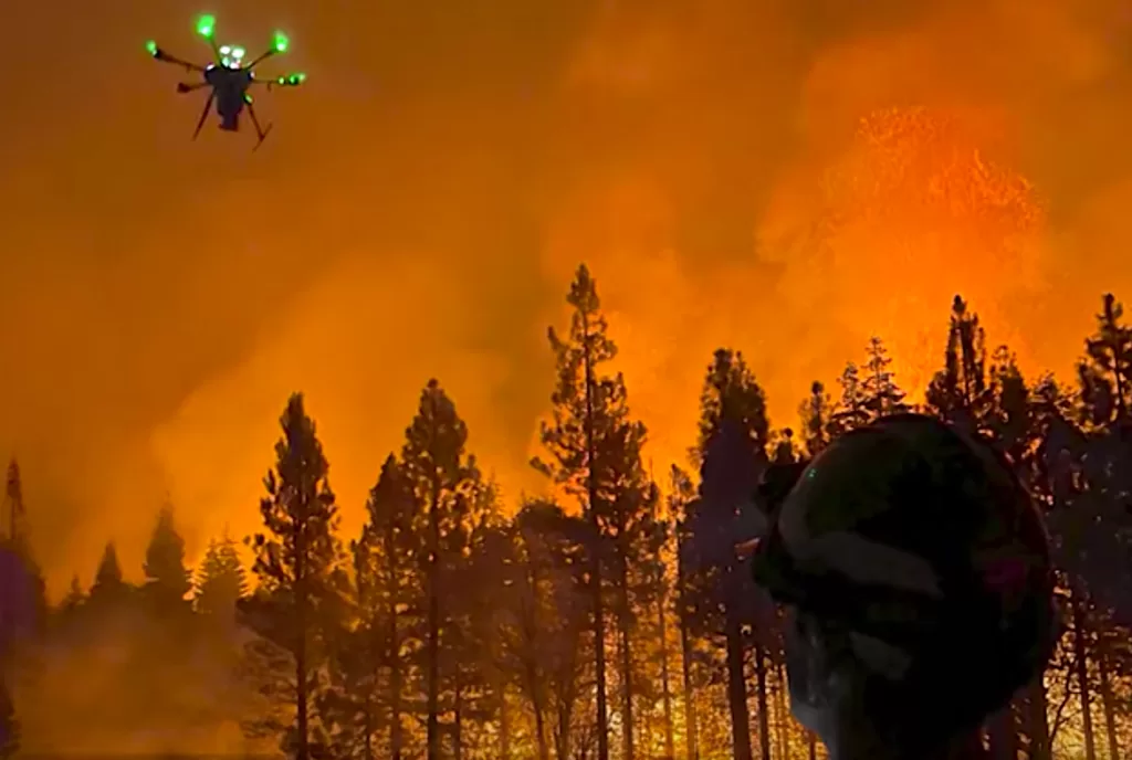 California Fire Management Strategies