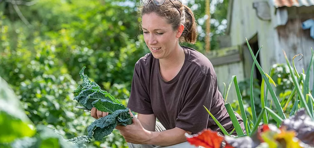 Mental Health Benefits of Gardening