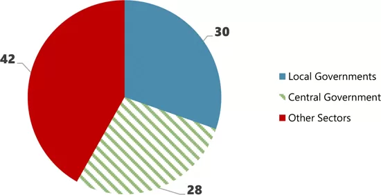 China Local Debt Crisis Management