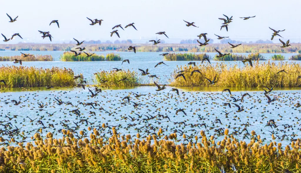 UK Biodiversity Climate Change