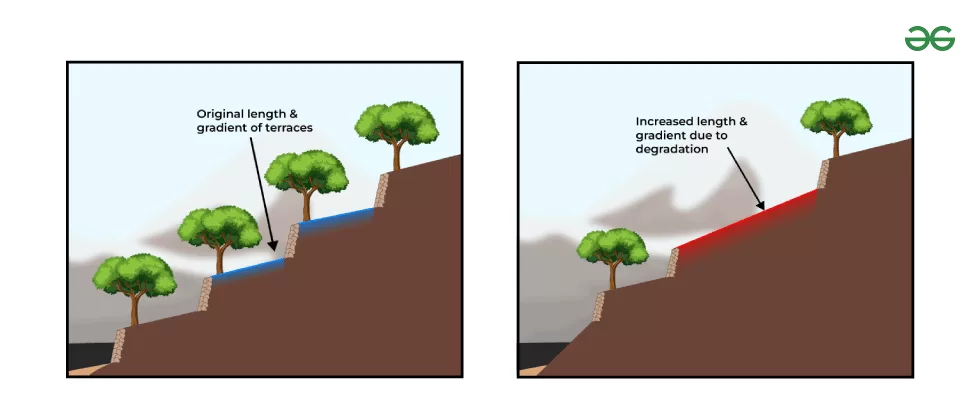 Soil erosion solutions in India