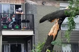 Houston storm fatalities 2024