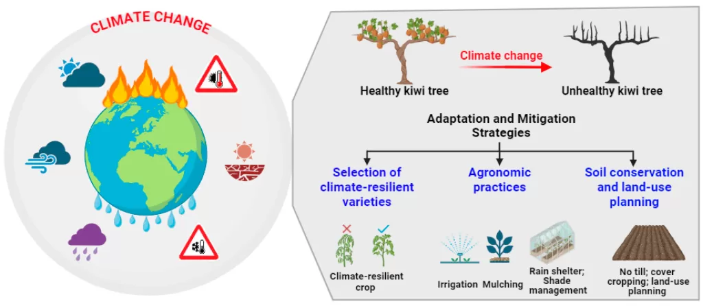 Flora adaptation in Germany