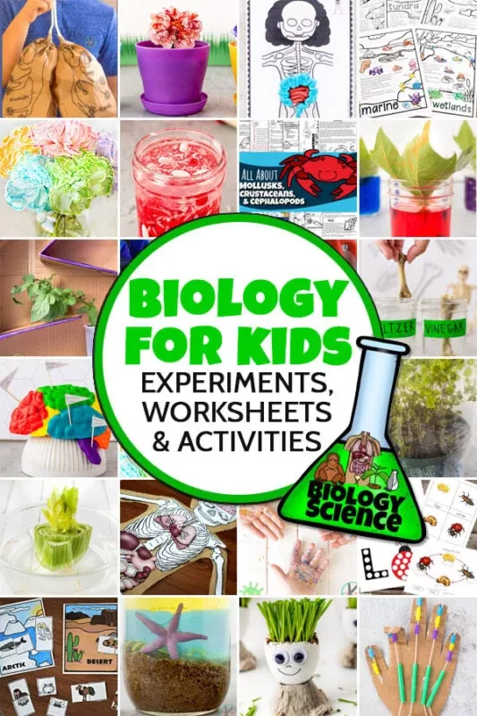 Biology Experiments for Kids UK