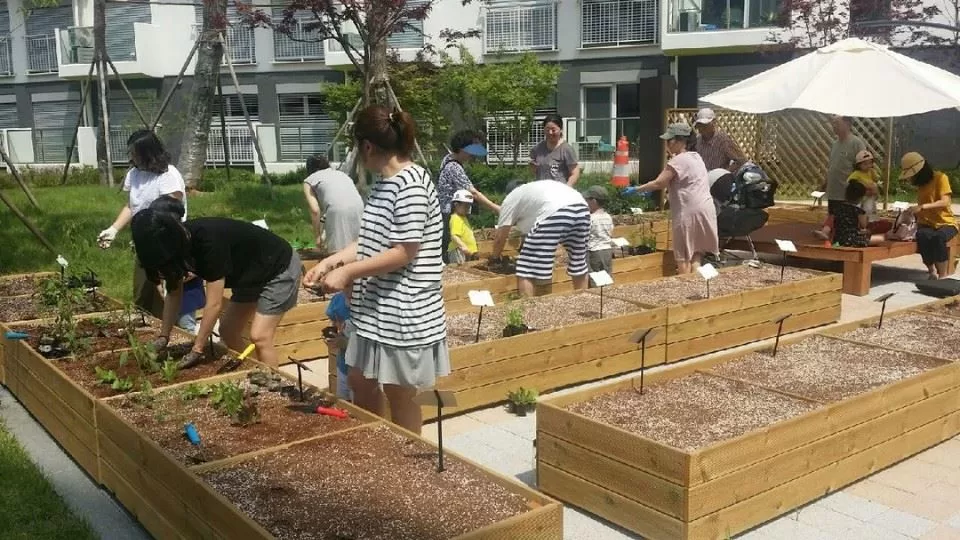 Urban Gardening Workshops in Seoul